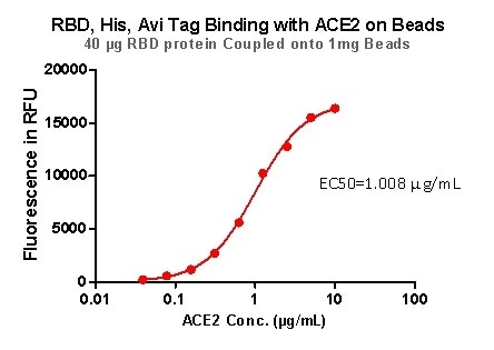 RBD,His,Avi Tag Binding with ACE2 on beads.