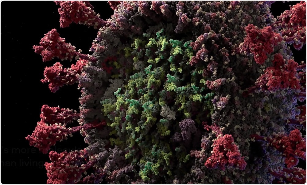 3D model of the SARS-CoV-2 virus at atomic resolution. Image Credit: Visual Science