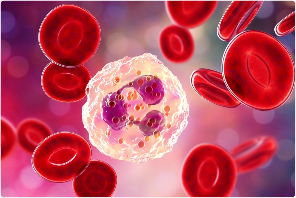 Neutrophil, a white blood cell, 3D illustration Credit: Kateryna Kon / Shutterstock
