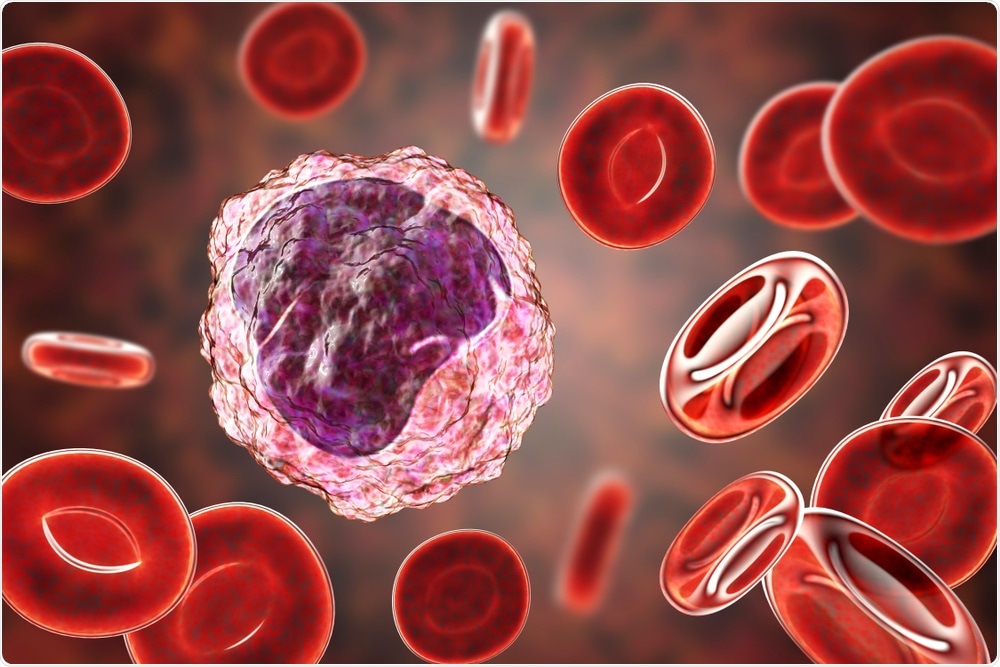 Monocyte surrounded by red blood cells, 3D illustration. Image Credit: Kateryna Kon / Shutterstock