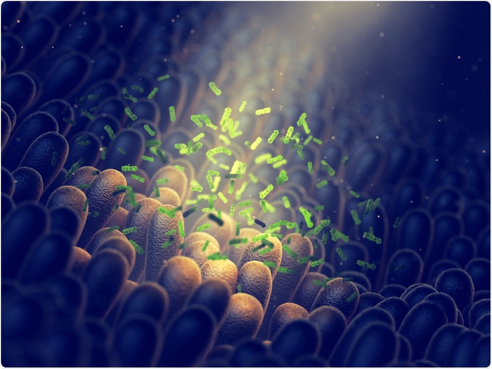 Intestinal bacteria, gut flora. Image Credit: nobeastsofierce / Shutterstock