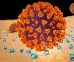 An improved tetravalent antibody blocks SARS-CoV-2 infection