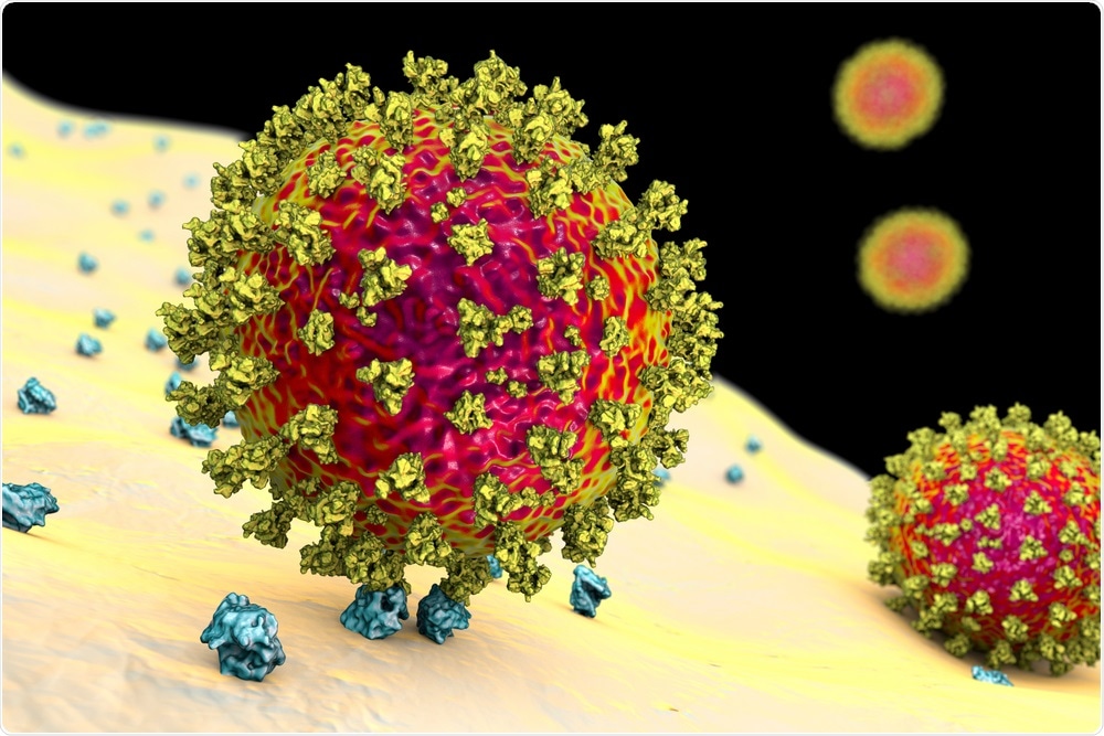 SARS-CoV-2 viruses binding to ACE-2 receptors on a human cell, the initial stage of COVID-19 infection, conceptual 3D illustration. Image Credit: Kateryna Kon / Shutterstock