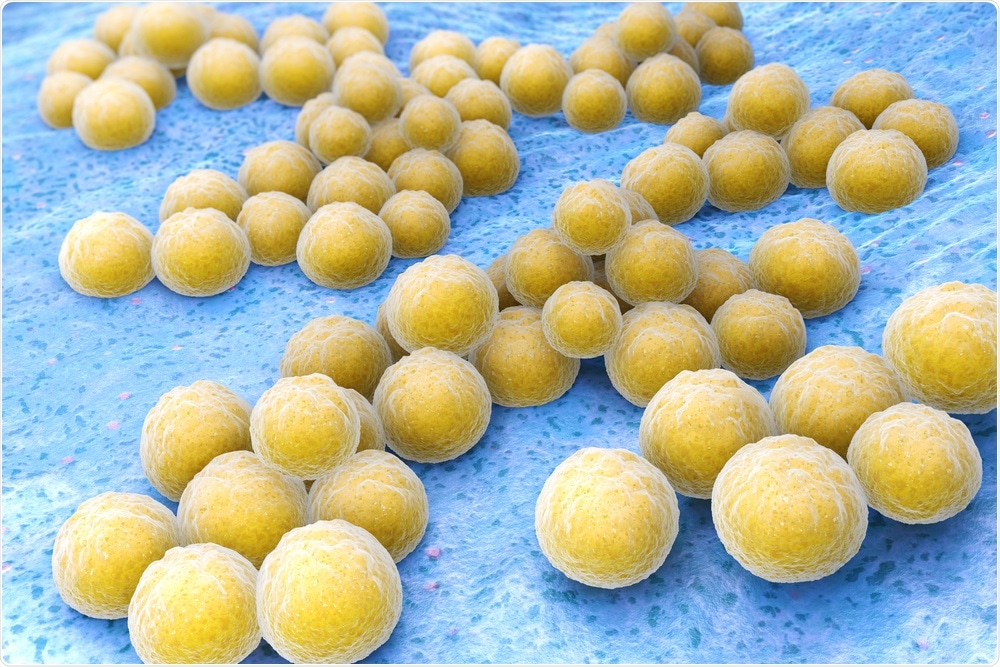 Methicillin-resistant Staphylococcus aureus (MRSA). Image Credit: Tatiana Shepeleva / Shutterstock
