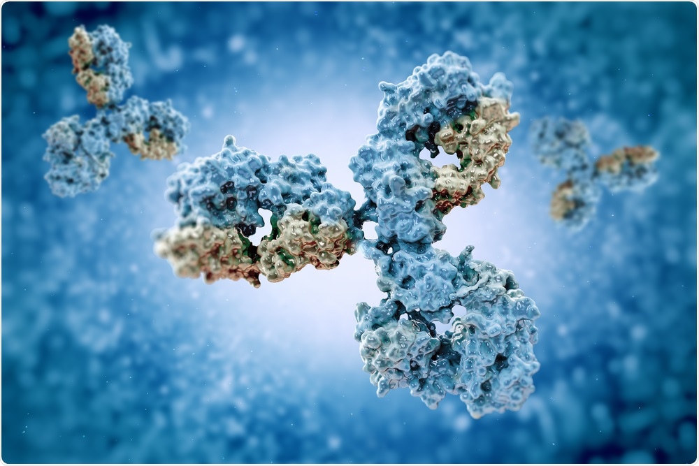 Study: Isolation of potent SARS-CoV-2 neutralizing antibodies and protection from disease in a small animal model. Image Credit: vitstudio / Shutterstock