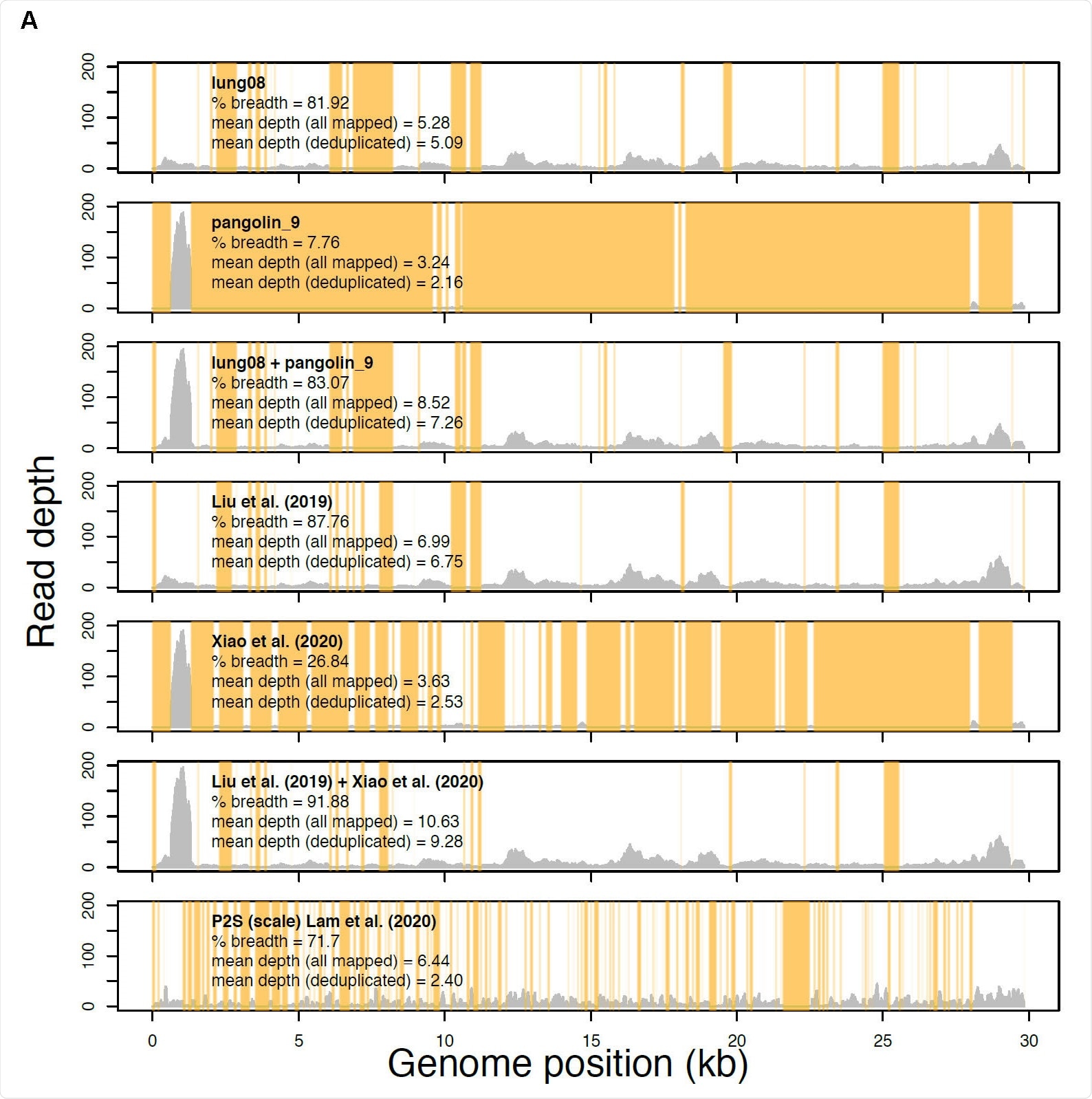 Read profiles of the metagenomic data sets from Liu et al. 2019 Viruses, Xiao et al. 2020 Nature, and Lam et al. 2020 Nature mapped to the Xiao et al. Guangdong pangolin CoV genome sequence GD_1 (EPI_ISL_410721). Samples lung08 (described in Liu et al. Viruses but re-introduced as M4 by Xiao et al. Nature) and pangolin_9 (sample M1, Xiao et al. Nature) each had the most sequence data of all samples analyzed in Liu et al. Viruses and Xiao et al. Nature, respectively. The “lung08 + pangolin_9” track shows their combined read coverage. The “Liu et al. (2019)” track indicates the read coverage pooled from all of the pangolin samples with mapped reads. The “Xiao et al. (2020)” track reveals the read coverage pooled from all samples unique to Xiao et al. Nature with mapped reads