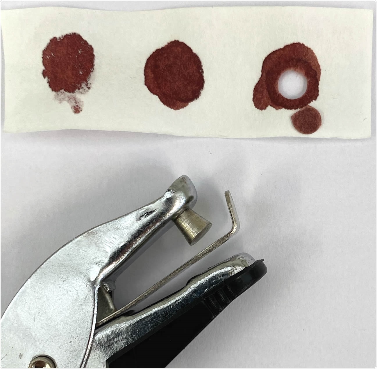 Dried blood samples (DBS) obtained by finger pricking with commercially available lancing devices. A 2.5 cm (W) x 7.5 cm (L) filter paper with three blood spots from the same volunteer and commercially available paper hole punching device were used to make DBS (arrowhead) from which blood was eluted for ELISA testing.