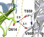 Researchers stabilize the closed SARS-CoV-2 spike trimer