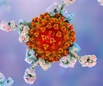 Pfizer/BioNTech COVID-19 vaccine elicits both neutralizing antibodies and T cell response