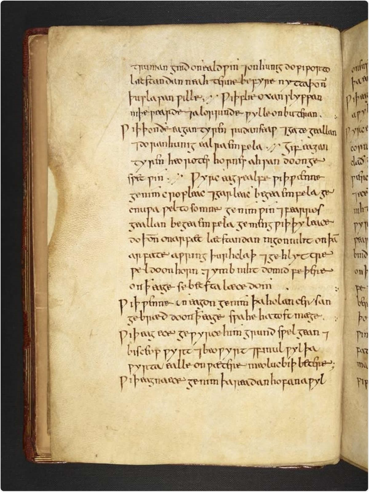 The actual eyesalve remedy text.  CREDIT © The British Library Board (Royal 12 D xvii)