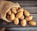 Using microchip-based qPCR for the Rapid Detection of Potato Pathogens
