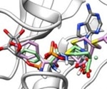 Small molecule drugs binding Mac1 domain of SARS-CoV-2