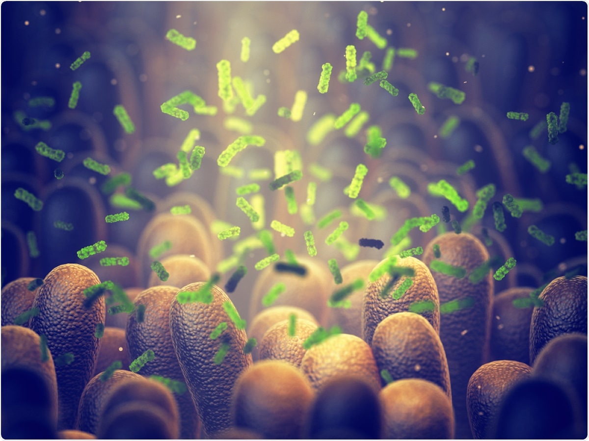 Study: The gut microbiome switches mutant p53 from tumour-suppressive to oncogenic. Intestinal bacteria, Gut microbiome, 3d illustration Credit: nobeastsofierce / Shutterstock