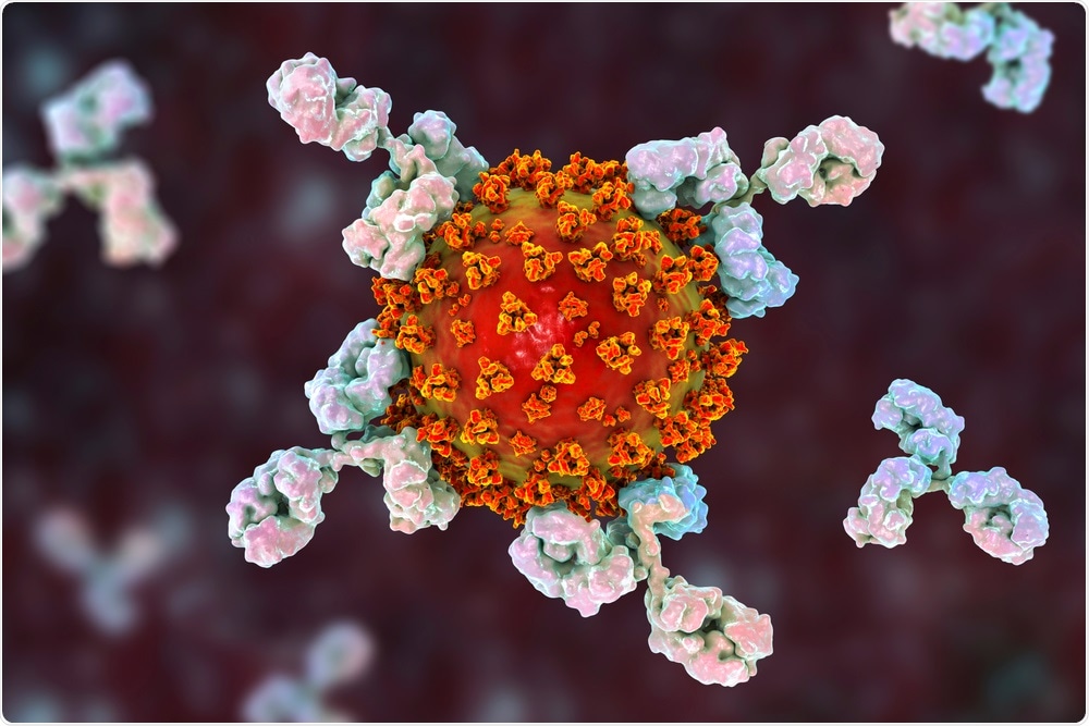 Phase 1/2 Study to Describe the Safety and Immunogenicity of a COVID-19 RNA Vaccine Candidate (BNT162b1) in Adults 18 to 55 Years of Age: Interim Report. Antibodies attacking SARS-CoV-2 virus, the conceptual 3D illustration. Image Credit: Kateryna Kon / Shutterstock