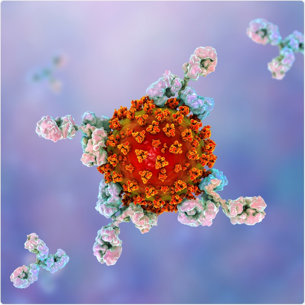 Antibodies attacking SARS-CoV-2 virus. Image Credit: Kateryna Kon / Shutterstock