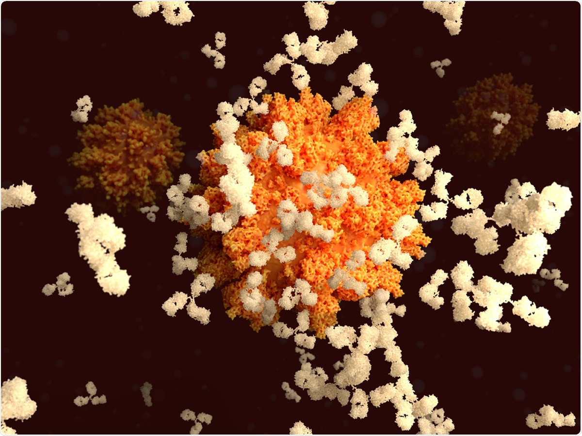 Binding of antibodies to the spike (S)-protein of the SARS-CoV-2 virus is an essential step for developing immunity to the coronavirus. Image Credit: Juan Gaertner / Shutterstock