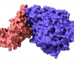 What is a Receptor-Binding Domain (RBD)?