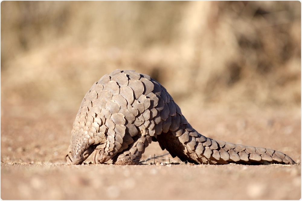 Study: Single source of pangolin CoVs with a near-identical Spike RBD to SARS-CoV-2. Image Credit: 2630ben / Shutterstock