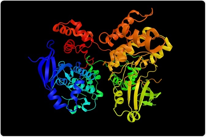 Protein Kinase