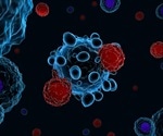 Dysfunctional T cells present at high levels in severe COVID-19