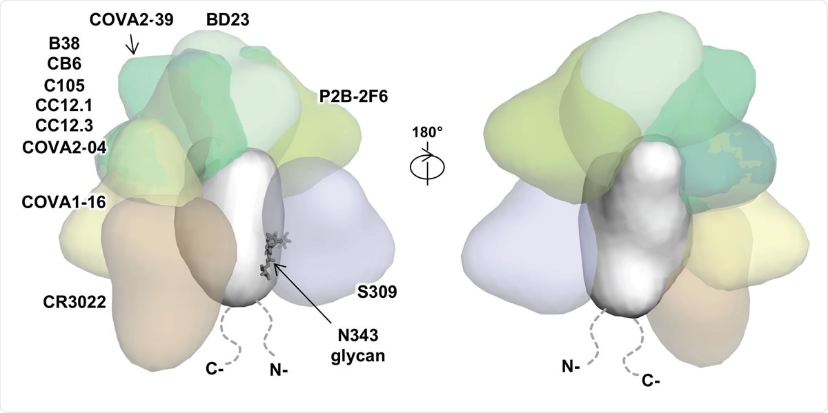 Interaction between SARS-CoV-2 RBD and structurally characterized antibodies. The binding of known SARS-CoV-2 RBD-targeting antibodies to the RBD is compared. The ACE2-binding site overlaps with epitopes of B38 (PDB 7BZ5), C105 (6XCM), CB6 (7C01), CC12.1 (6XC3), CC12.3 (6XC4), BD23 (7BYR) [7], and P2B-2F6 (7BWJ), but not the epitopes of COVA1-16 (this study), CR3022 (PDB 6W41), COVA2-04, COVA2-39], and S309 (PDB 6WPS). Of note, while CR3022 only neutralizes SARS-CoV but not SARS-CoV-2 in in vitro assays, a recent study isolated an antibody (EY6A) that binds to a similar epitope as CR3022 and cross-neutralizes SARS-CoV-2 and SARS-CoV.