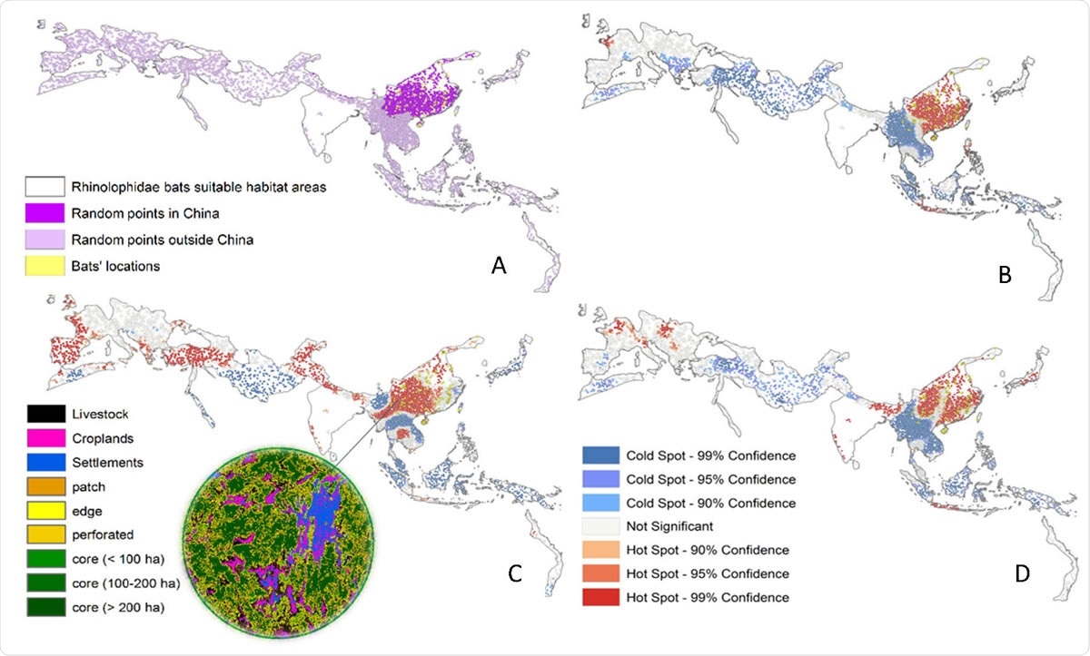Univariate spatial analysis of coronavirus outbreak drivers (A) Sampling points randomly generated within China (dark purple) and outside China (light purple) and bat location points (yellow), weighted by the horseshoe bat species distributions present in East, South & South East Asia; (B) hotspots (red) and coldspots (blue) of livestock density; (C) hotspots of forest fragmentation; (D) hotspots of human settlement.
