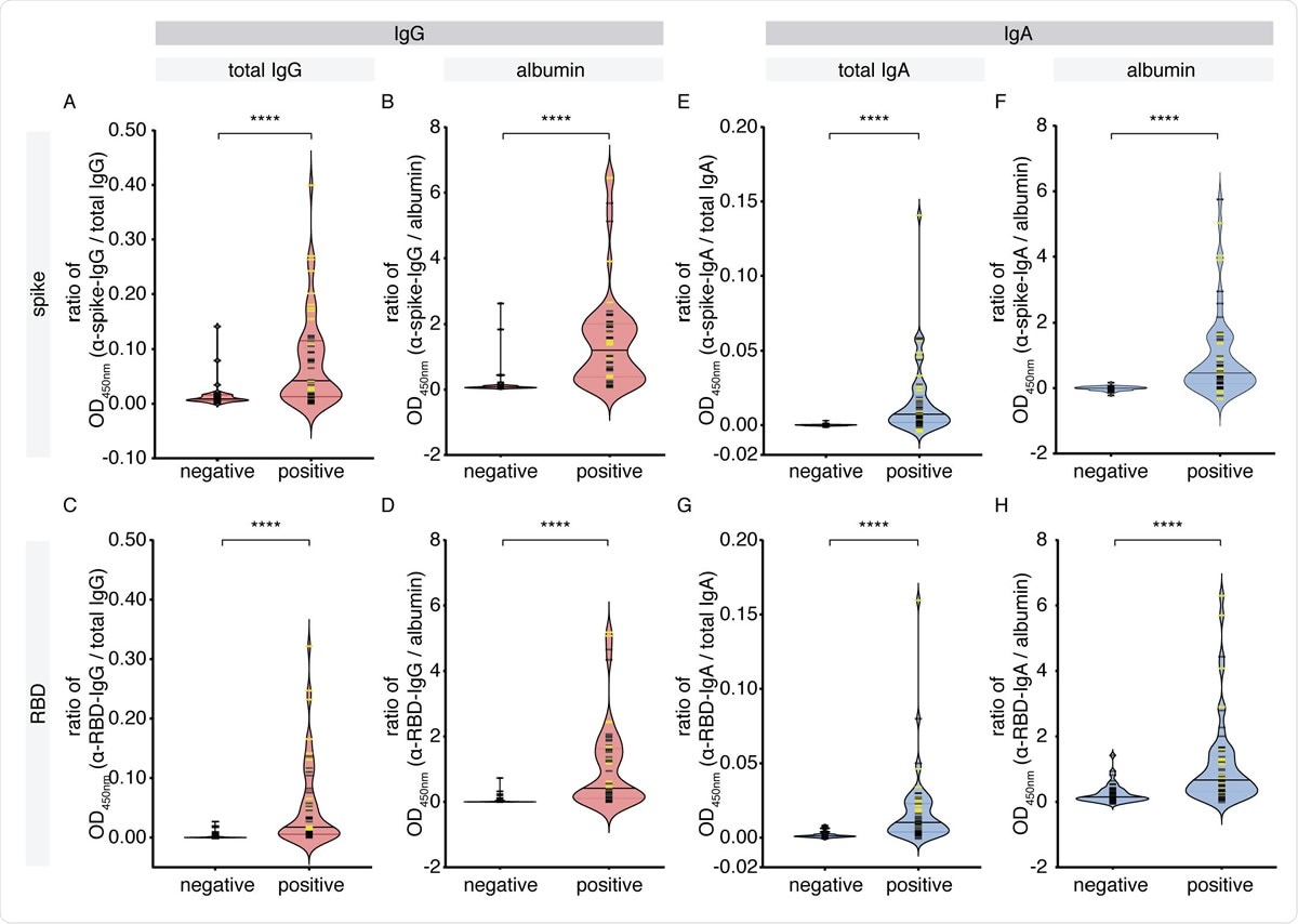 IgG and IgA levels against SARS-CoV-2 antigens in the saliva of cohort 1. A pilot cohort of COVID-19 patients was tested for the presence of IgG and IgA antibodies to SARSCoV- 2 spike and RBD antigens in the saliva, comparing with age- and sex-matched unexposed negative controls collected locally. (A-D) Antigen-specific (anti-spike, anti-RBD) IgG levels normalized by total IgG or albumin. (E-H) Antigen-specific (anti-spike, anti-RBD) IgA levels normalized by total IgA or albumin. Yellow bars denote saliva samples collected at an unknown dilution. Solid bars denote the median. Mann-Whitney U test for significance was performed. **** = p < 0.0001.