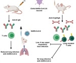 Single dose nasal vaccine against SARS-CoV-2 shows promise in animal studies