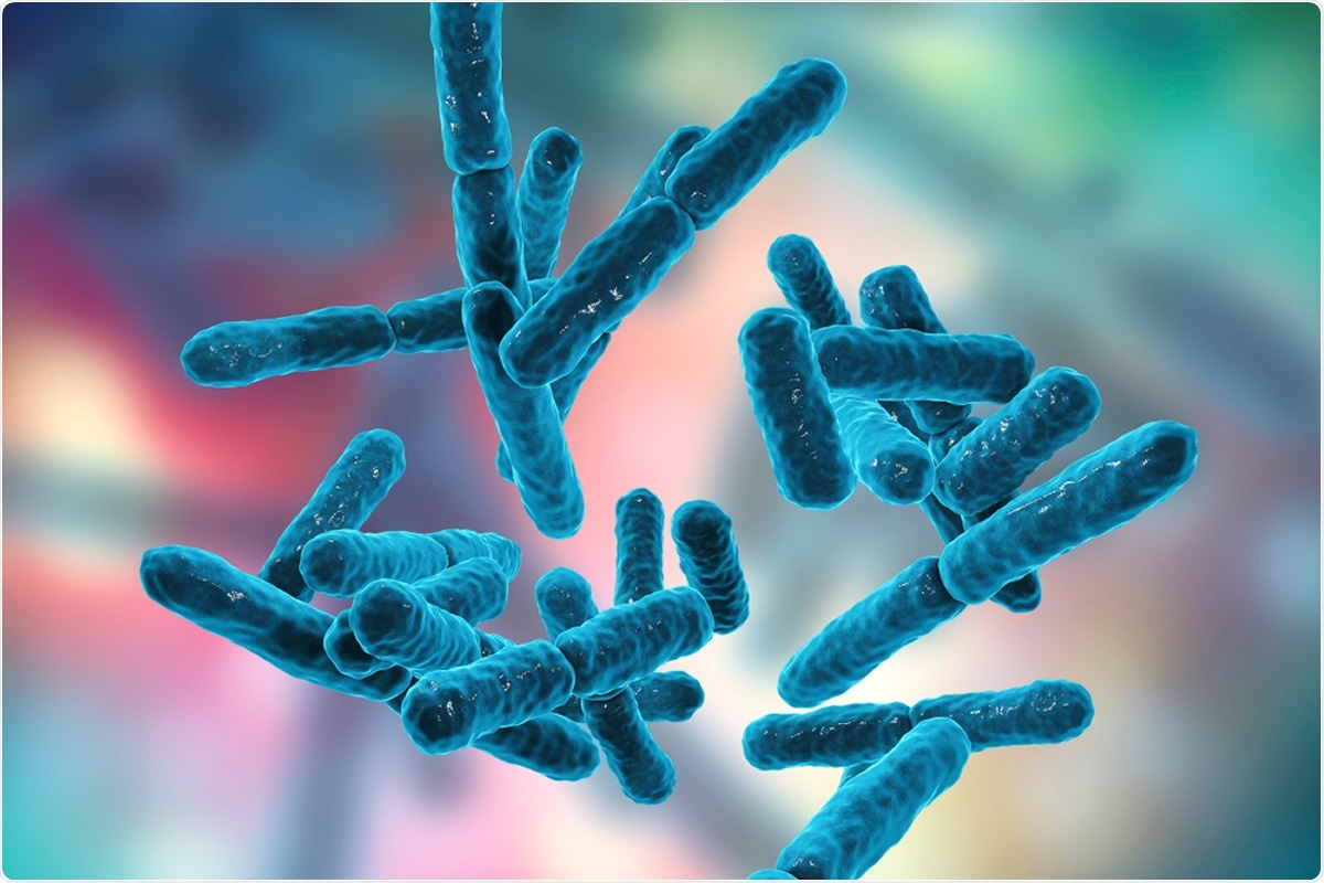 Bacteria Bifidobacterium, gram-positive anaerobic rod-shaped bacteria which are part of normal flora of human intestine are used as probiotics and in yoghurt production. 3D illustration Credit: Kateryna Kon / Shutterstock