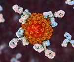 Research looks at how long SARS-CoV-2 antibodies last