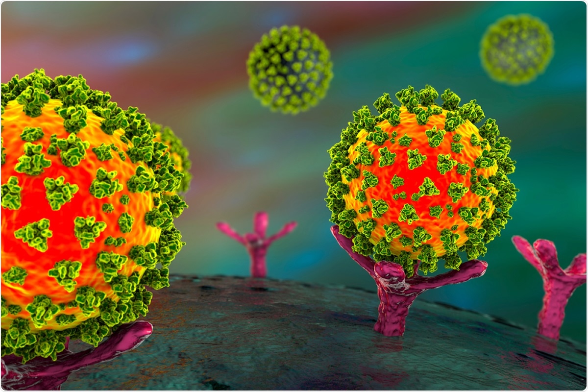 SARS-CoV-2 viruses binding to ACE-2 receptors on a human cell, the initial stage of COVID-19 infection. Image Credit: Kateryna Kon / Shutterstock