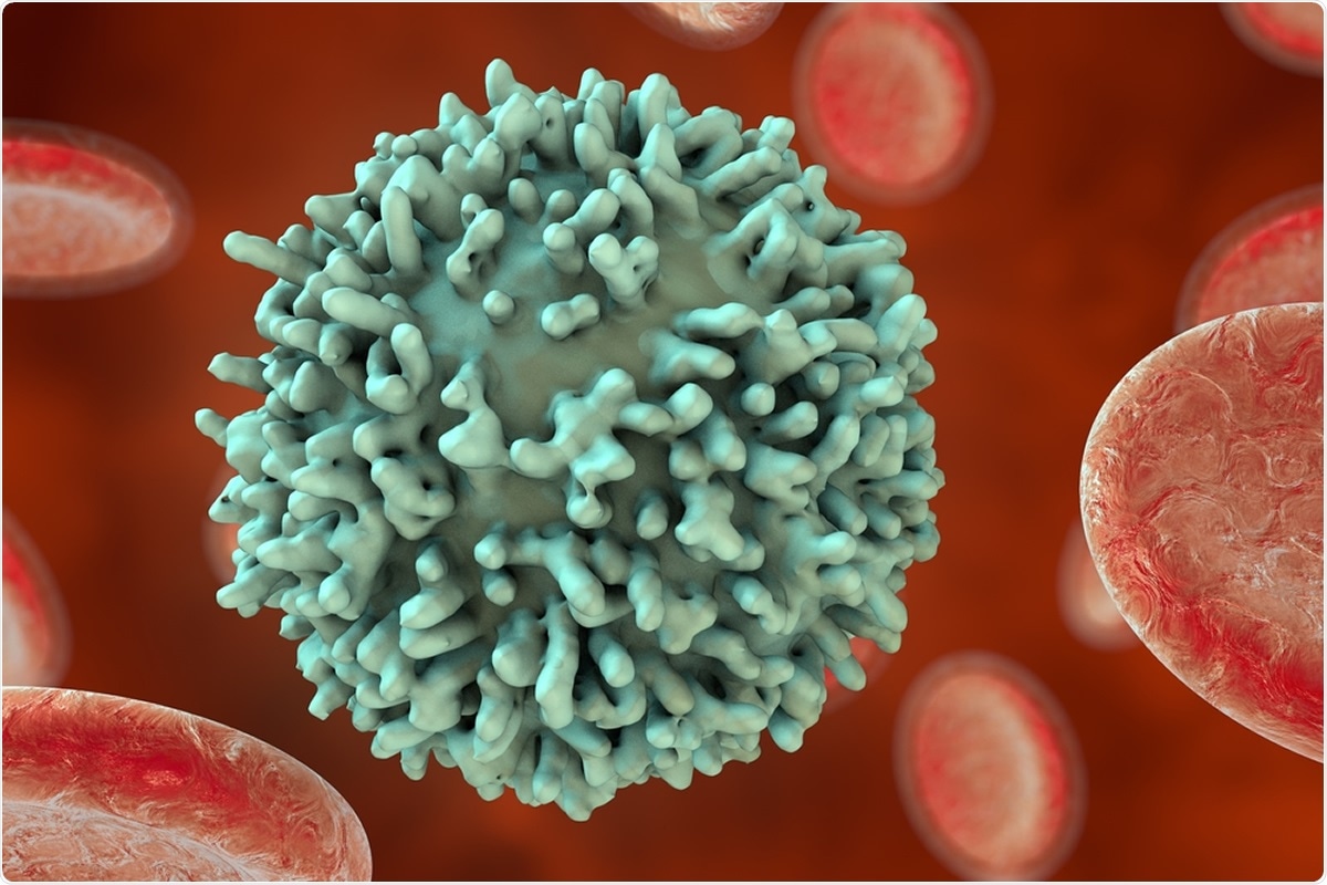 Study: SARS-CoV-2 specific memory B cells frequency in recovered patient remains stable while antibodies decay over time. Image Credit: Kateryna Kon / Shutterstock