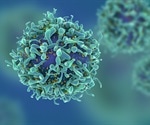 COVID-19 could compromise key element of immune response