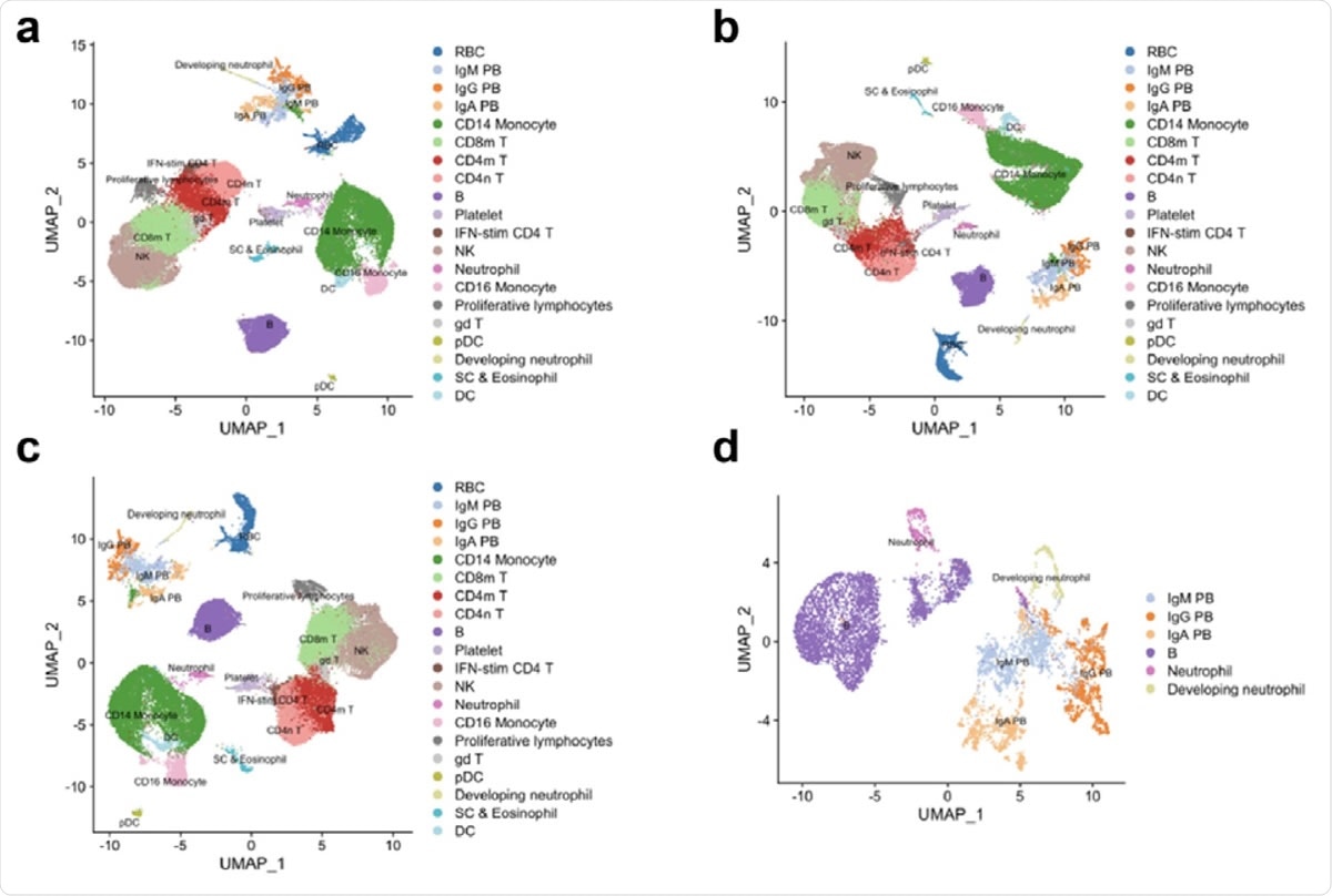 Re-analysis of scRNA-seq data from Wilk et al. show developing neutrophils do not transdifferentiate from plasmablasts. a. Reconstruction of the UMAP embedding from figure 1c of Wilk et al. b. UMAP embedding showing effect of regressing out mitochondrial genes. c. UMAP embedding showing effect of regressing out mitochondrial genes and ribosomal genes. d. UMAP embedding of neutrophils, developing neutrophils, B cells and plasma cells.