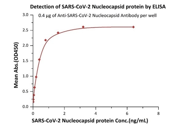 Immobilized Anti- SARS-CoV-2 Nucleocapsid antibody, mouse Mab (Cat. No. NUN-S46) at 4 μg/mL, add increasing concentrations of SARS-CoV-2 Nucleocapsid protein and then add Biotinylated Anti- SARS-CoV-2 Nucleocapsid antibody, mouse Mab (Cat. No. NUN-S47). Detection was performed using HRP-conjugated streptavidin with sensitivity of 12 pg/mL.