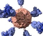 Spike ferritin nanoparticles show potential as SARS-CoV-2 vaccine