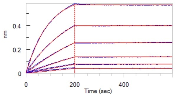 Anti-SARS-CoV-2 Nucleocapsid Antibody, Mouse MAb(Cat. No. NUN-S47) can bind SARS-CoV-2 Nucleocapsid ProteinCat. No. NUN-C5227) with an affinity constant of 24.7 pM determined in BLI assay (ForteBio Octet Red96e).