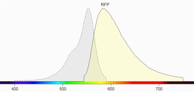 b) Excitation and emission spectrum of RFP (Source: Biotium)