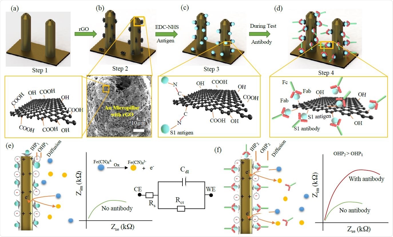 Functionalization of 3D Printed Micropillar Electrode and 3DcC Sensor Operation.