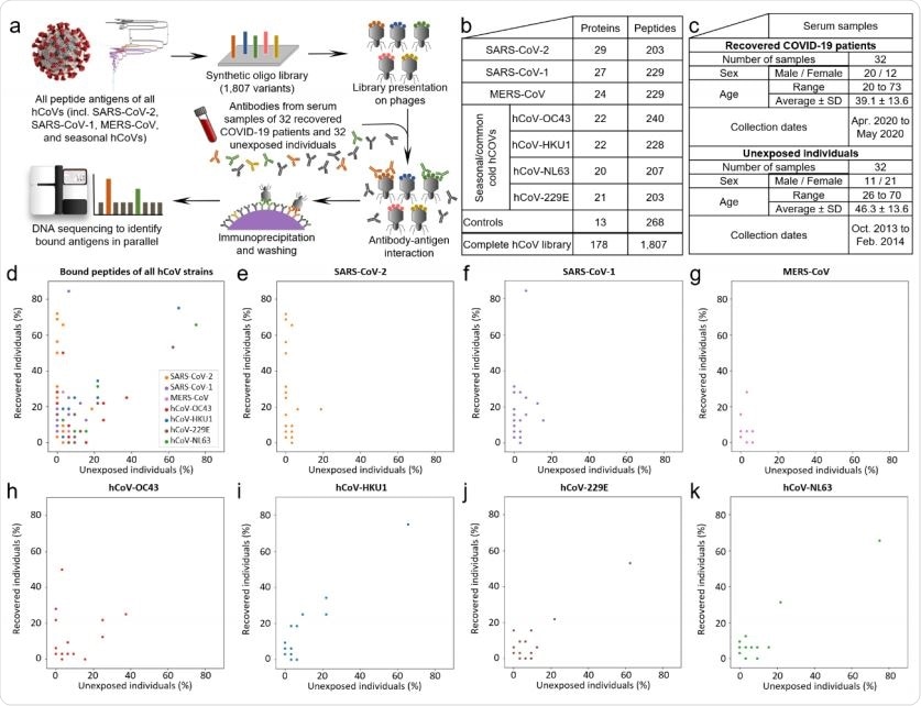 A phage displayed antigen library (a) of human Coronaviruses’ peptide antigens (b) applied to serum samples of unexposed individuals and recovered COVID-19 patients (c) detects a high serum prevalence of seasonal hCoVs, interindividual variability of antibody repertoires against SARS-CoV-2, and cross-reactive antibody responses from SARS-CoV-2 infection (d-k). The numbers of proteins per strain in panel b include polyproteins being split into 14 separate proteins. d-k, All bound antigens of the hCoV library are shown in panel d, the following panels depict binding against peptides of each hCoV strain separately. The illustration of the SARS-CoV-2 virion is reproduced from CDC PHIL #23312 released as public domain (CDC/ Alissa Eckert, MSMI; Dan Higgins, MAMS), the phylogenetic tree is reproduced form Wu et al. (1) [open access].