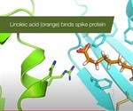 Linoleic acid binds SARS-CoV-2 spike protein