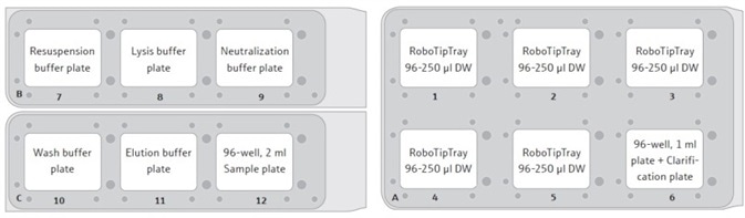 Suggested set-up positions for the CyBio® FeliX deck. Each RoboTipTray is used for a specific reagent(s), according to its position: (1) Resuspension buffer and sample handing (pre-clarification); (2) Lysis buffer; (3) Neutralization buffer; (4) Wash buffer and sample (post-clarifica- tion); (5) Elution buffer. The sample plate will contain cell pellets, post-harvesting by centrifugation.