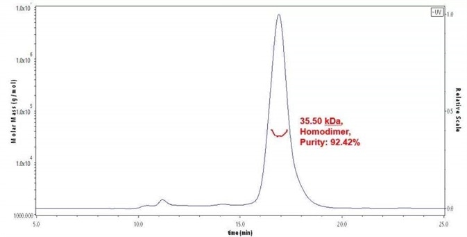 The purity of Human TIGIT Protein, His Tag (Cat. No. TIT-H52H3) was more than 90% and around 30-45 kDa verified by SEC-MALS.