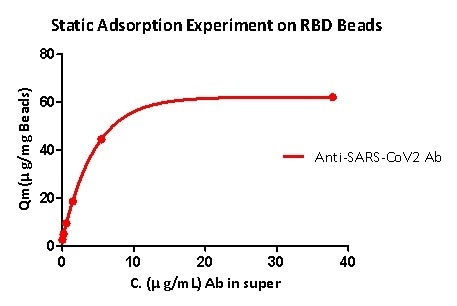 Static adsorption experiment on RBD beads
