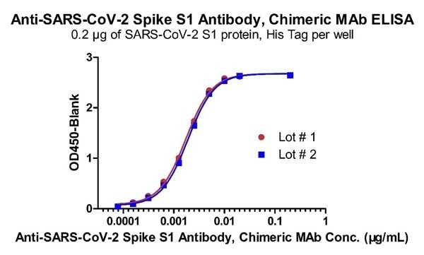 Demonstration of the Batch to Batch Consistency of Anti-SARS-CoV-2 Spike S1 Antibody, Chimeric Mab (Cat. No. S1N-M122) to the S1 protein.