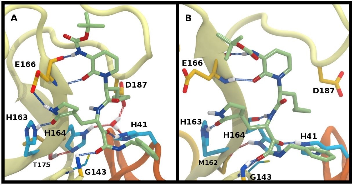 Ketoamide hydrogen bonding in the HE41-HD164 protonation state. In both panels, hydrogen bonds between the ligand (light green licorice) and the protein are indicated with a blue line, while those with water or between protein residues are red. A) Region around the crystallographic water. B) conformation in which the His164 has rotated, making a hydrogen bond with the backbone of Met162. The crystallographic water has been released.
