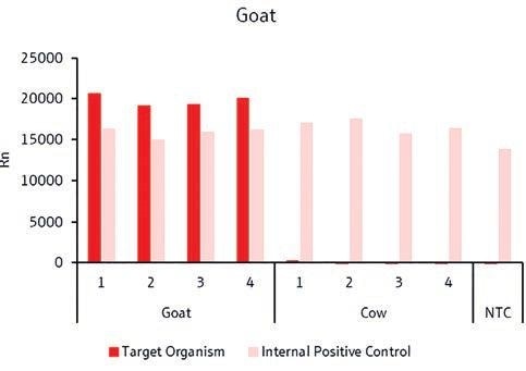 Detection of goat-specific target gene.
