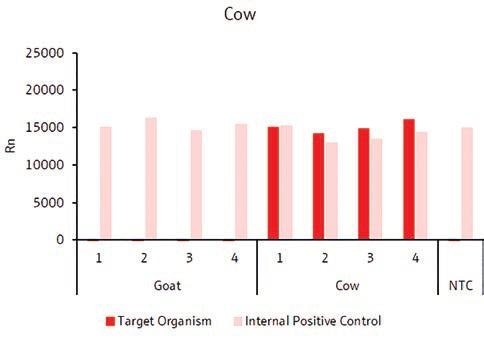 Detection of cow-specific target gene.
