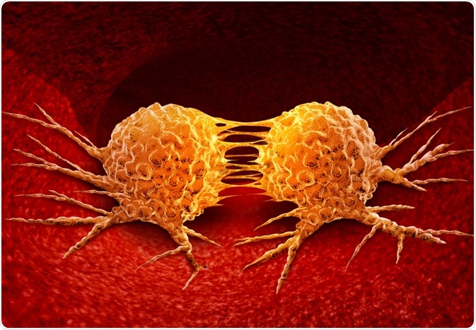 Cell Metastasis
