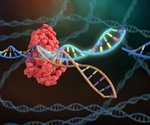 CRISPR screening identifies human host pathways that facilitate coronavirus infection